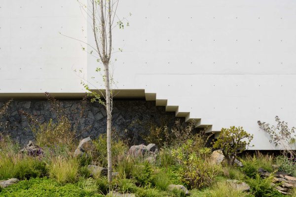 The CEFR House is built in one of the many housing complexes that are located at “Pedregal” area of Mexico City. Most of these sets have fixed lines for their construction and landscape, the factors that become challenging at the moment of intervention. The “Pedregal” of Mexico City is a unique ecosystem, plant and animal […]