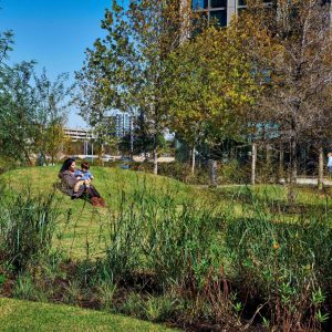 TMC Helix Park « Landezine International Landscape Award LILA