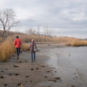 Shirley Chisholm State Park « Landezine International Landscape Award LILA
