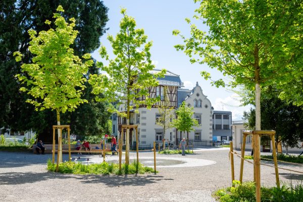 Vinomnapark – A Climate-Resilient Urban Oasis in Rankweil The transformation of Vinomnapark in Rankweil, Austria is a forward-thinking response to urban challenges, blending history, ecology, and social engagement. By revitalizing Rankweil’s central green space, the project preserves its historical character while addressing climate adaptation and sustainability. The result is a multifunctional park that enhances well-being, [&hellip;]