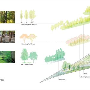 Triangle Park Urban Forest by Stoss Lanscape Urbanism « Landezine ...