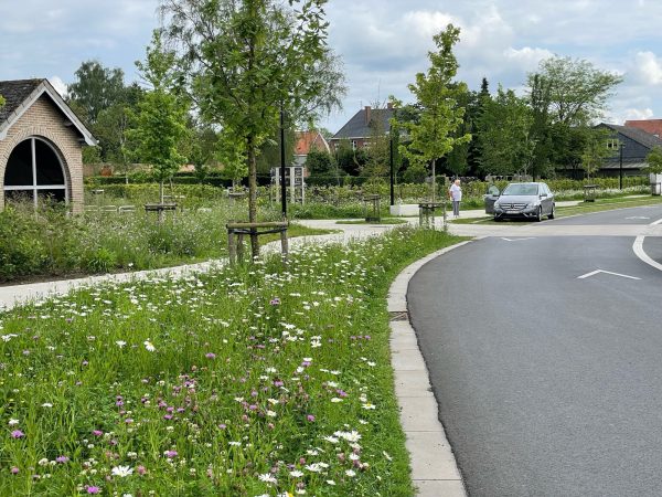 The project was originally commissioned under the title ‘Redevelopment of the Bankbeekstraat parking area’, through which the municipality of Wevelgem sought a design team. From the outset, it was clear to us that Bankbeekstraat held far greater potential—one that called for a broader, more integrated vision beyond the mere redesign of a parking facility. From [&hellip;]