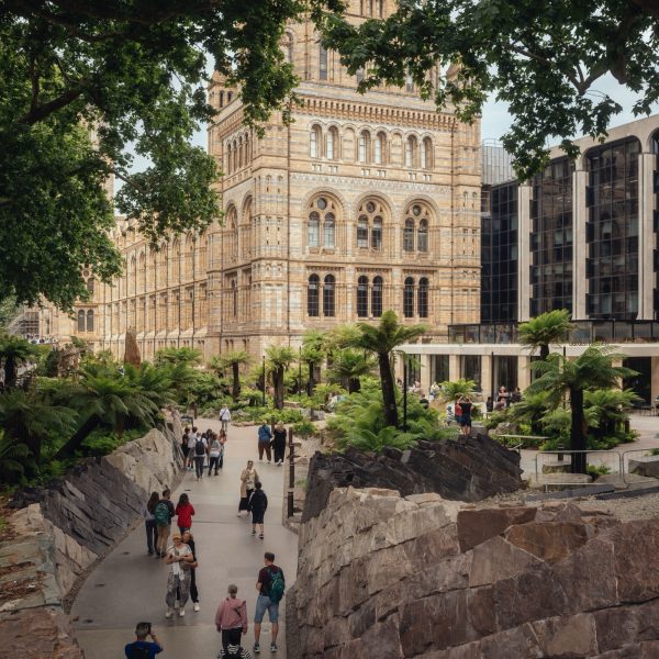 The Urban Nature Project reimagines the Natural History Museum’s 5-acre gardens to increase biodiversity, accessibility, scientific research and best practice outdoor nature-learning all year round. It has been designed as a response to the urgent need to monitor and record changes to the United Kingdom’s urban nature and to develop skills to study in this [&hellip;]