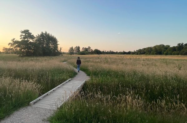 CONNECTING THROUGH COMPENSATION In 2025, the Melksteeg ecological corridor project, a new 19.5-hectare nature reserve on the border of Amersfoort and Soest was opened. As part of fulfilling compensation obligations, the opportunity was seized to further expand the Melksteeg and enhance its significance as an ecological corridor. H+N+S Landscape Architects was asked to bring these [&hellip;]