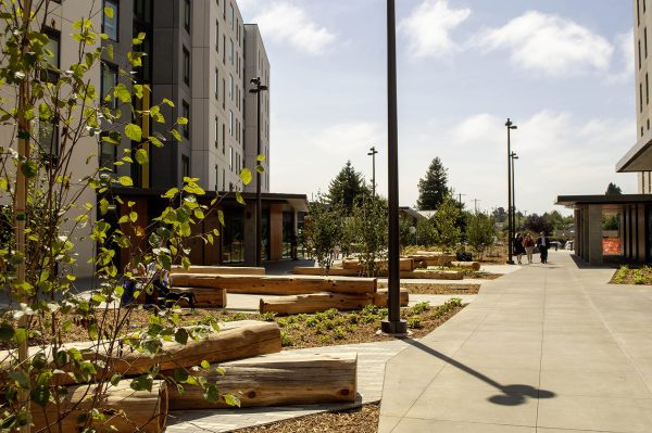 When Cal Poly Humboldt became California’s third polytechnic university in 2022, it reaffirmed a founding conviction: that learning happens in direct contact with the living world. The landscape design for Hinarr Hu Moulik East & West Student Housing, the university’s first new residential community in over four decades, was built around that same conviction. Students [&hellip;]