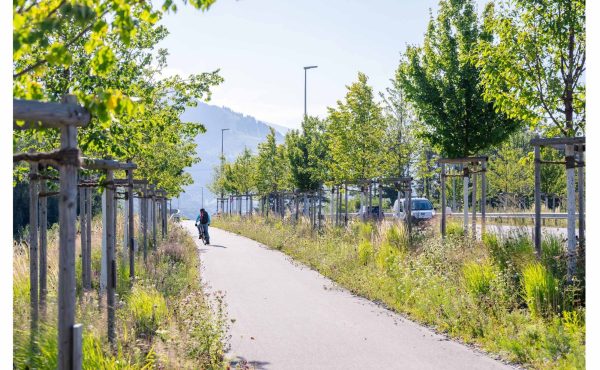 Historically and to this day, Zollstrasse has been one of the most important connecting routes between Switzerland and Liechtenstein. Once characterized by magnificent tree-lined avenues and fruit trees accompanying the road, this spatial quality is reinterpreted and re-established through the project, creating a distinctive and multifaceted gateway to the town. Immediately after crossing the Rhine [&hellip;]