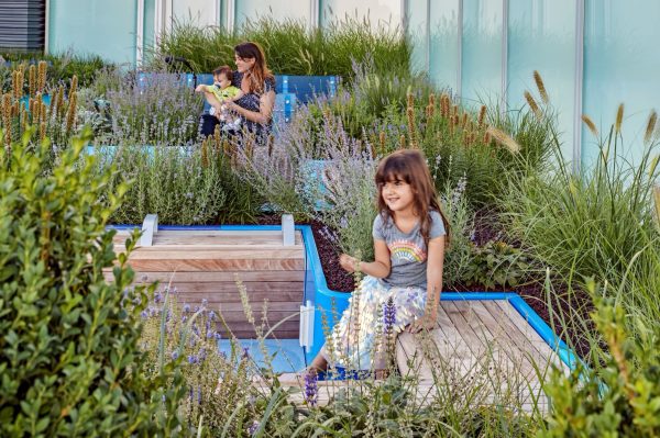 Boston Children’s Hospital Healing Gardens establishes a new paradigm for healthcare design, integrating diverse therapeutic landscapes tailored to the distinct needs of patients, families, and caregivers. This vertical hospital demonstrates how biophilic design incorporating biomorphic forms, pollinator habitats, and interactive ecological environments creates accessible outdoor spaces for restoration. Seven gardens spanning ground to rooftop connect [&hellip;]