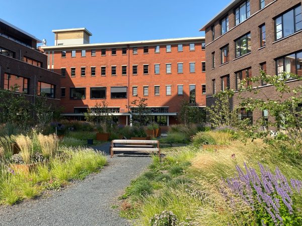Two roof gardens that wink to the industrial past The old industrial area around Gonnetstraat in Haarlem has been revitalized with two residential blocks: ‘Gonnet 22’ and ‘Gonnet 24’. The architecture is by ENZO architecture N interior, and the development and construction are by HBB Group. HOSPER designed the two rugged and playful courtyard gardens, [&hellip;]