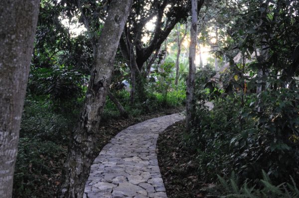 Nestled on the shores of Lake Victoria, Nkumba occupies a rare lakeside site defined by remnant virgin forest and a deeply rooted ecological character. The landscape strategy seeks to reinforce the site’s existing identity through restrained and site-responsive interventions that gradually dissolve into the surrounding environment. The client’s aspiration for a rich tropical garden informed [&hellip;]