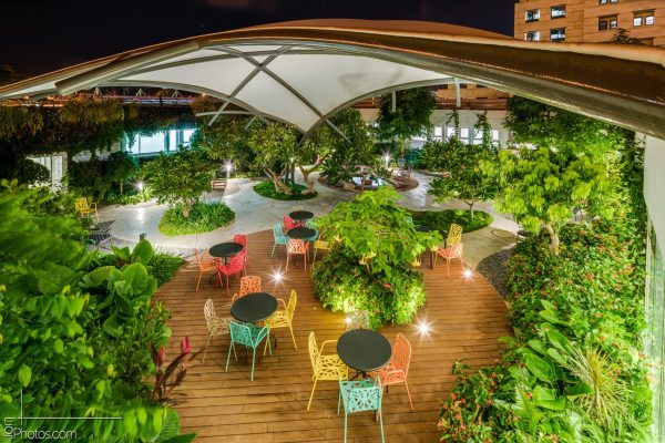 The patio is located as an enclosed garden within the Hillel Yaffe Medical Center in Hadera, at the heart of the maternity ward. The project was designed by architect Pazi Tal Or in collaboration with landscape architect Zvika Kanonich, whose field of expertise is architectural design for populations with disabilities, from both mental and physical/functional [&hellip;]