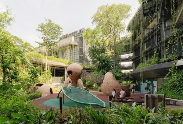 The Mandai Rainforest Resort did not begin as a forest. The 4.6-hectare site along the Upper Seletar Reservoir was once the staff and animal keeper quarters of the adjacent zoo, a cleared, domesticated patch of ground sitting at the edge of Singapore’s Central Catchment Nature Reserve. The ecology did not start well. But at the [&hellip;]