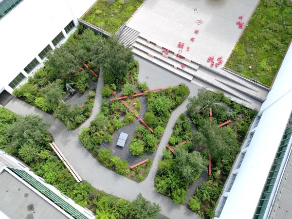 Planting greenery. Collecting rainwater. Unsealing surfaces. Fostering biodiversity. Cooling urban spaces. All of this is more than necessary. But it’s not enough! We need to create atmospheres — unique, unexpected, and intense. That’s what this project is trying to do: to evoke more feelings. The courtyard of the Deutsches Hygiene-Museum Dresden is undergoing a transformation. [&hellip;]