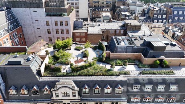 PAD landscapes, Ryder Court, London. London considers itself a first-tier leader in policy influence for biodiverse roofs but still ranks low for the delivery of green roof area per capita. Central London offers 1.2m2 green roof per person, about a fifth of Basel for example (5.7m2/person). And while rooftop greening is increasingly visible here, it [&hellip;]