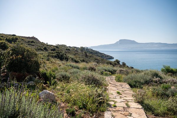 Unbroken Wild is a large-scale landscape project, located on the coast of Western Crete, Greece. Developed between 2020 and 2023 in two phases, the project spans approximately 40,000 m² across a dramatic coastal site rising from sea level to 35 meters in elevation, with panoramic views toward the Cretan Sea and the White Mountains. The [&hellip;]