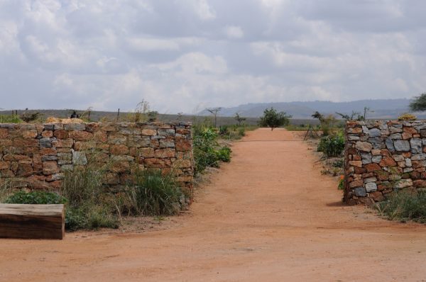 This project in Northern Kenya was conceived as a community-led initiative to address both nutritional insecurity and social wellbeing through landscape design. At its core, the project provides a productive garden where fresh, nutritious food can be grown locally, improving access to healthy produce in a region affected by climatic and economic challenges. The farm [&hellip;]