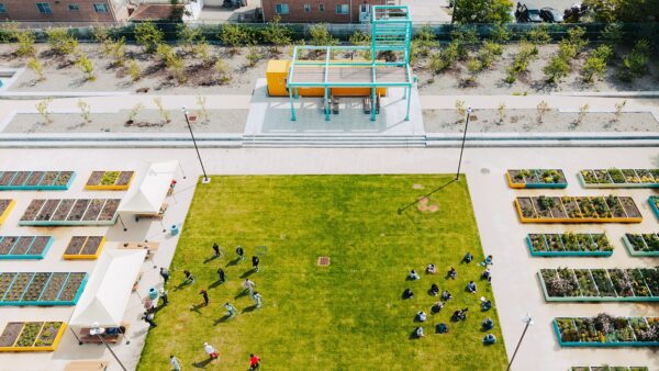 Growing Minds, Bodies and Good Food On a 1.5-acre site beside a Bergen Beach elementary school, the Carol Pino Learning Garden transforms a formerly contaminated urban wasteland into an immersive landscape where education, ecology, and equity intersect. Edible gardens, orchards, and outdoor classrooms form a living ecosystem that nurtures both people and the planet, addressing [&hellip;]