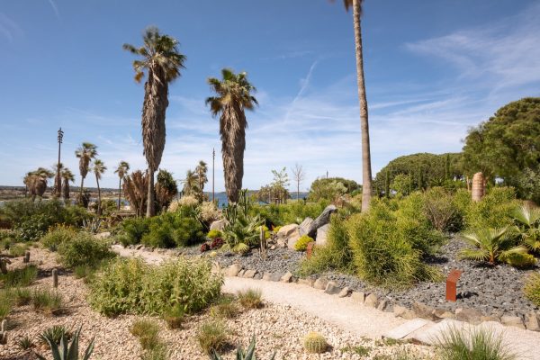The Mediterranean Park, located in the heart of the Brusc harbor and overlooking the remarkable landscapes from the Embiez Islands to the Calanques, offers a true immersion in the world’s Mediterranean ecosystems. Through a succession of atmospheres—maquis, garrigue, pine forest, arid landscapes, and even inspirations from the South African fynbos—the park showcases the diversity of [&hellip;]