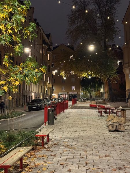 A play street is a car-free zone next to a school or preschool — an extension of the schoolyard and a place where children can transition safely and calmly on their way to and from school. The Stockholm Play Streets pilot project was launched in 2023 with a vision of creating spaces for socializing, play, [&hellip;]
